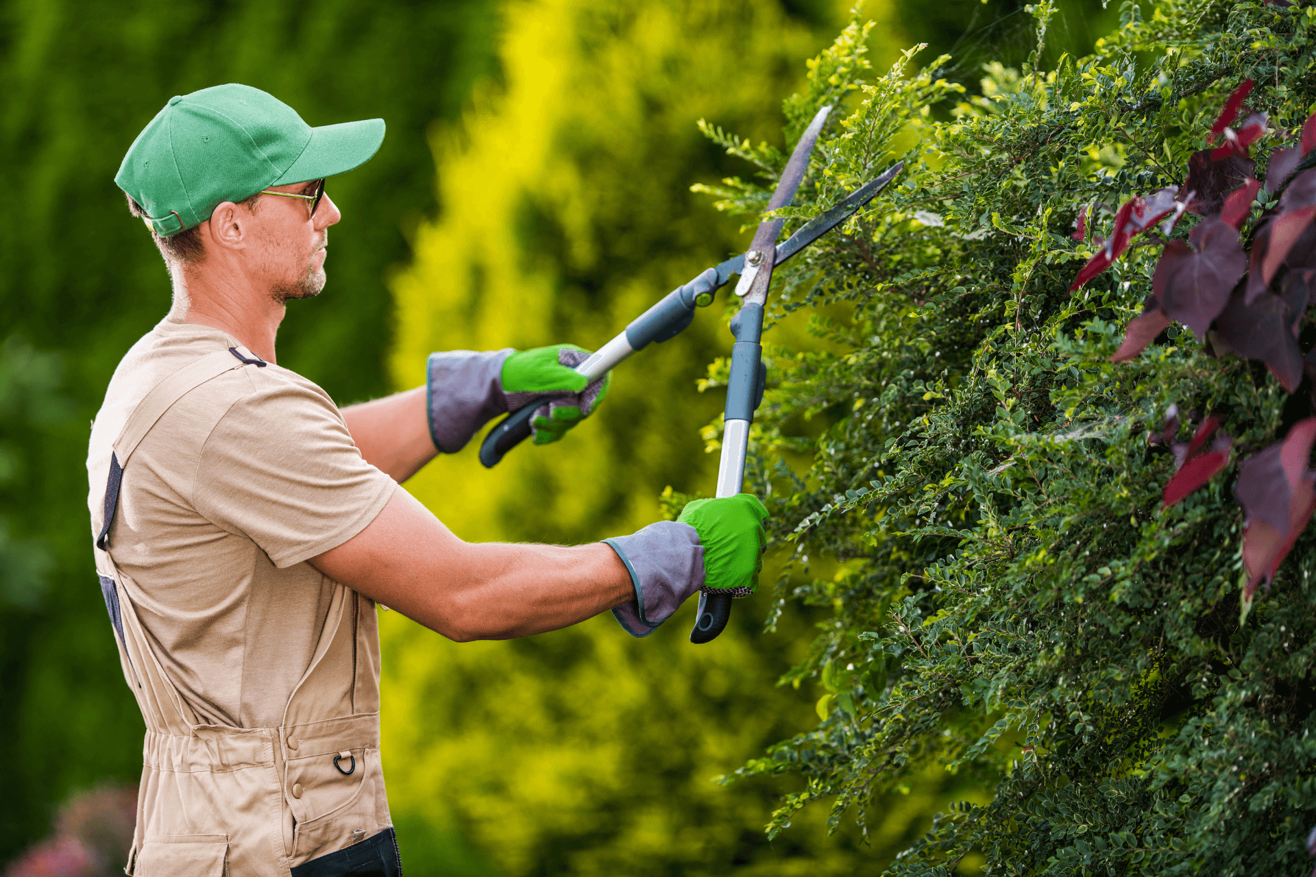 grounds maintenance